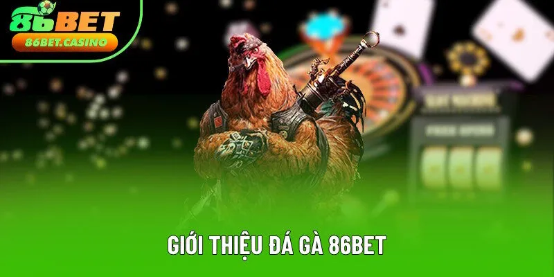 Thông tin giới thiệu đá gà 86bet Thông tin giới thiệu đá gà 86bet