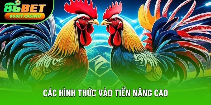 Danh sách các loại hình vào tiền nâng cao Danh sách các loại hình vào tiền nâng cao